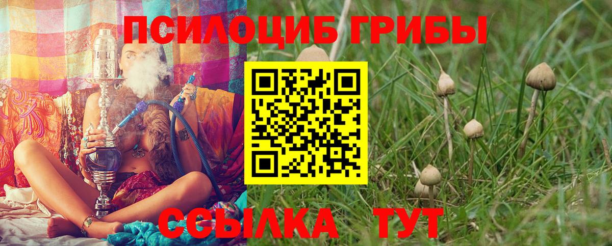 Псилоцибиновые грибы мицелий Нижнекамск