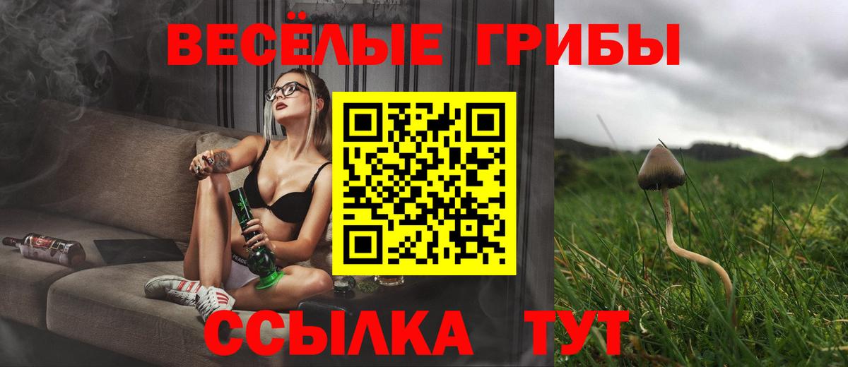 Галлюциногенные грибы Psilocybe  Галлюциногенные грибы Cubensis  Нижнекамск  Вход с VPN 